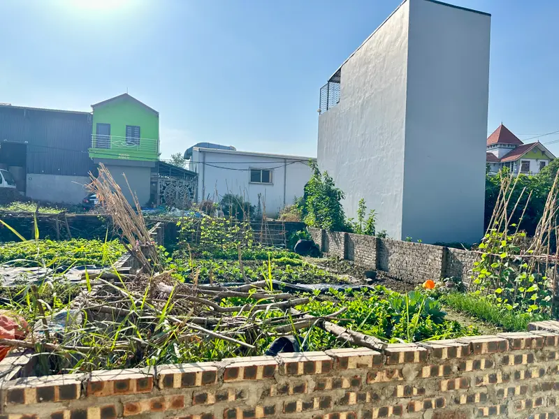 ✨ 50m²(5.3tỷ) VIEW TRƯỜNG HỌC ĐÔNG ANH – Ô TÔ VÀO ĐẤT – 3 PHÚT ĐẾN CẦU THĂNG LONG – 5P ĐẾN CẦU NHẬT... Bán đất tại Vĩnh Thanh, Hà Nội 01
