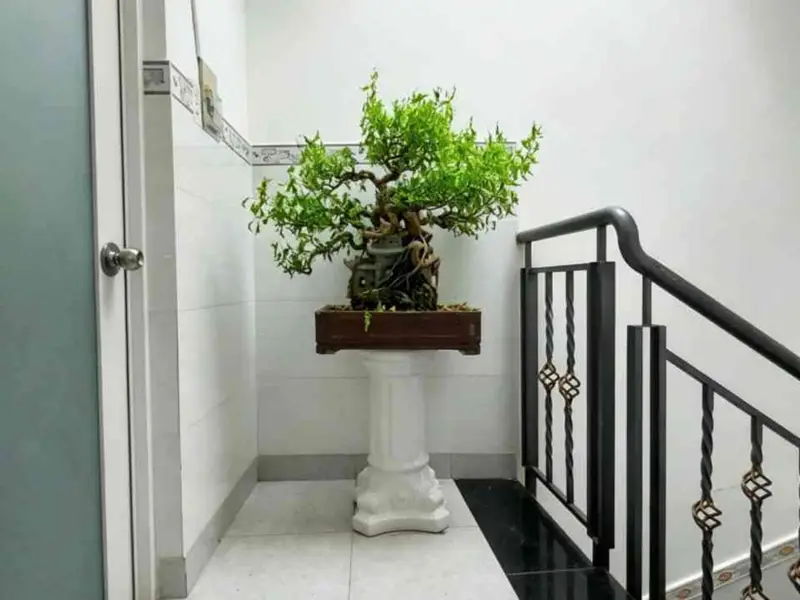 Nhà Hẻm Ô Tô Tân Bình - 4 Tầng Full Nội Thất, Giá Tốt... Bán nhà riêng tại Tân Sơn Nhất, Hồ Chí Minh 01