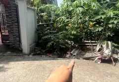 Bán đất 75m² gần QL 283 Đông Cốc giá 2.35 tỷ đường ôtô sát khu công nghiệp... Bán đất tại Song Liễu, Bắc Ninh 02