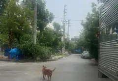 Nhà mặt tiền rộng gần vườn hoa Phù Khê, Bắc Ninh... Bán nhà riêng tại Phù Khê, Bắc Ninh 04
