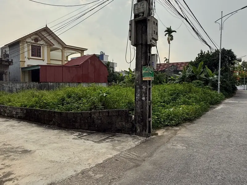 Đất mặt ngõ phân lô, ô tô tránh, gần nhà văn hóa, trường học và chợ... Bán đất tại Thiên Hương, Hải Phòng 01