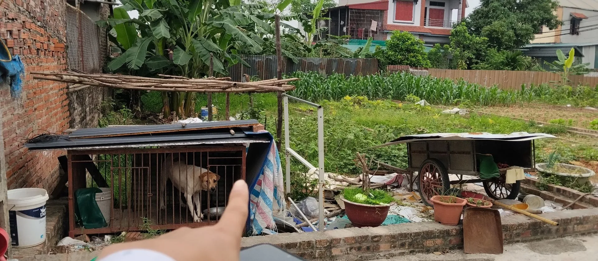 Siêu phẩm đất kinh doanh mặt tiền trục chính Quang Tiến... Bán đất tại Sóc Sơn, Hà Nội 01