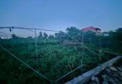 Cơ hội sở hữu đất vàng tại xã Văn Giang, Hưng Yên ngay hôm nay... Bán đất tại Văn Giang, Hưng Yên 04