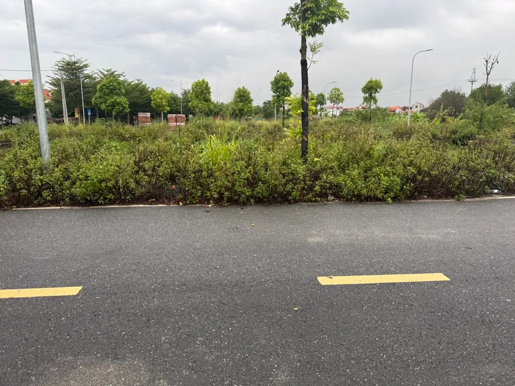 ĐẤT PHÂN LÔ ĐẸP - OTO TRÁNH- VỈA HÈ ĐÁ BÓNG, VỊ TRÍ PHÁT TRIỂN MẠNH TẠI ĐAN PHƯỢNG... Bán đất tại Ô Diên, Hà Nội 01