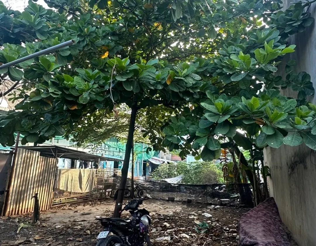 Hiếm - Bán Đất đất thổ cư 172,5m2 , mặt tiền 6,3m ở phường Tân Tạo, Bình Tân... Bán đất tại Tân Tạo, Hồ Chí Minh 01
