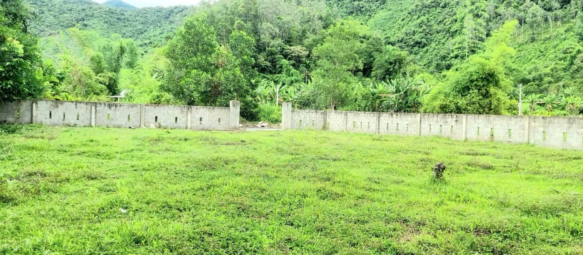 🌿 LÔ ĐẤT CHỮA LÀNH NGAY THUNG LŨNG FARM HÒA BẮC – CHÂN NÚI, SUỐI NHỎ, SÔNG CU ĐÊ TRONG LÀNH 🌿... Bán đất tại Hải Vân, Đà Nẵng 01