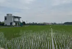 Đất Vuông Vắn Bìa Làng – Cơ Hộ Đầu Tư Vàng... Bán đất tại Sóc Sơn, Hà Nội 04