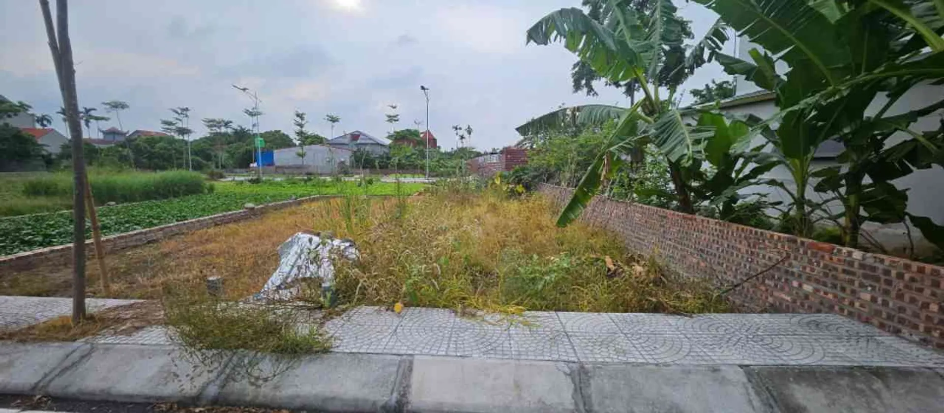 Đất đông tảo-hưng yên,bứt phá theo dự án vành đai 4 và sân vận động PVF, đầu tư đón sóng hạ tầng... Bán đất tại Hoàn Long, Hưng Yên 01