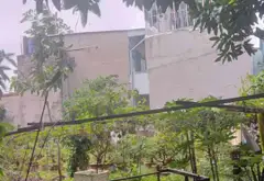 Mở bán lô đất lớn tại khu dân cư Thăng Long, An Lạc... Bán đất tại An Lạc, Hồ Chí Minh 07