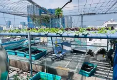 Bán nhà riêng 4 tầng khu vực Huỳnh Tấn Phát Quận 7, 101 m2, 12 phòng cho thuê... Bán nhà riêng tại Tân Mỹ, Hồ Chí Minh 08