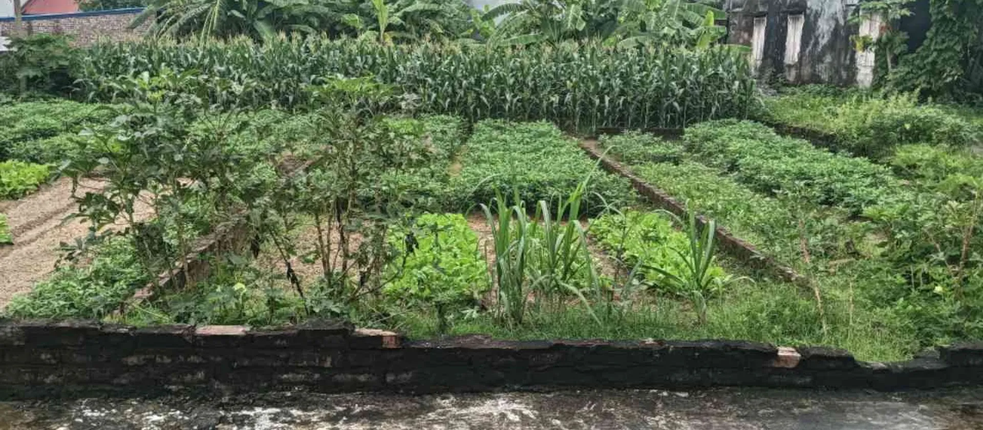 Bán đất thổ cư 65,5m2 tại khu dân cư đông đúc, pháp lý sổ đỏ chuẩn... Bán đất tại Sóc Sơn, Hà Nội 01