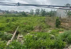 Cơ Hội Vàng Sở Hữu Đất Vị Trí Vàng Tại Kiến Thụy - Đường Ô Tô Thông Thoáng... Bán đất tại Kiến Thụy, Hải Phòng 03