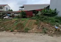 Cơ Hội Vàng Sở Hữu Đất Mặt Tiền Gần Trung Tâm Văn Giang, Giá Đầu Tư Hiếm Có... Bán đất tại Văn Giang, Hưng Yên 09