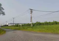 Bán đất xã Vĩnh Lộc, Hồ Chí Minh diện tích lớn, pháp lý rõ ràng... Bán đất tại Vĩnh Lộc, Hồ Chí Minh 05