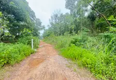 Đất Vàng 4000m² Đẹp Nhất Sóc Sơn - Cơ Hội Vàng Cho Nhà Đầu Tư!... Bán owner_side tại Sóc Sơn, Hà Nội 03