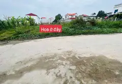 Đất Vàng Hương Đình Đông, Tiềm Năng Kinh Doanh Đỉnh... Bán owner_side tại Sóc Sơn, Hà Nội 01