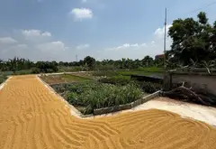 Lô đất 66m² — Mặt tiền rộng, hình khối vuông vắn!... Bán đất tại Phạm Ngũ Lão, Hưng Yên 09