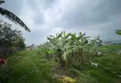 Bán đất 400m2 mặt tiền 10,9m tại Phú Hạ, Kim Anh, Sóc Sơn, Hà Nội... Bán đất tại Kim Anh, Hà Nội 03