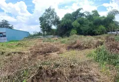 Bán 2000m2 đất Long Phước đường xe tải quận 9, giá 11.4 tỷ... Bán đất tại Long Phước, Hồ Chí Minh 02