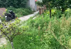 Liên hệ Em Chí 0396576996... Bán đất tại Lạc Đạo, Hưng Yên 07
