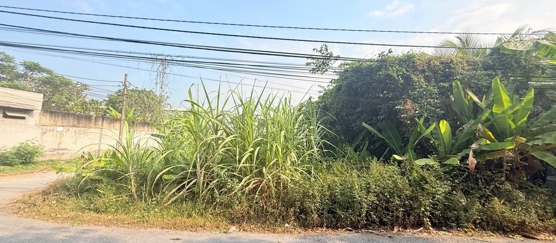 Bán đất mặt tiền đường Nguyễn Thị Da, xã Bình Mỹ, Hóc Môn, diện tích 393m2, pháp lý rõ ràng... Bán đất tại Bình Mỹ, Hồ Chí Minh 01