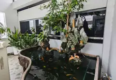 NHÀ 5 TẦNG 65M2 KHU ĐỒNG BỘ - PHƯỜNG AN NHƠN - THANG MÁY VIVU - 13TY TL... Bán nhà riêng tại An Nhơn, Hồ Chí Minh 16