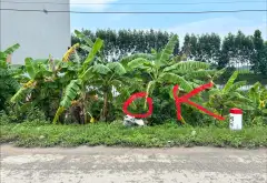 Đất đẹp mặt tiền rộng tại Lương Tài, Bắc Ninh - Đầu tư sinh lời cực hấp dẫn... Bán đất tại Lương Tài, Bắc Ninh 09