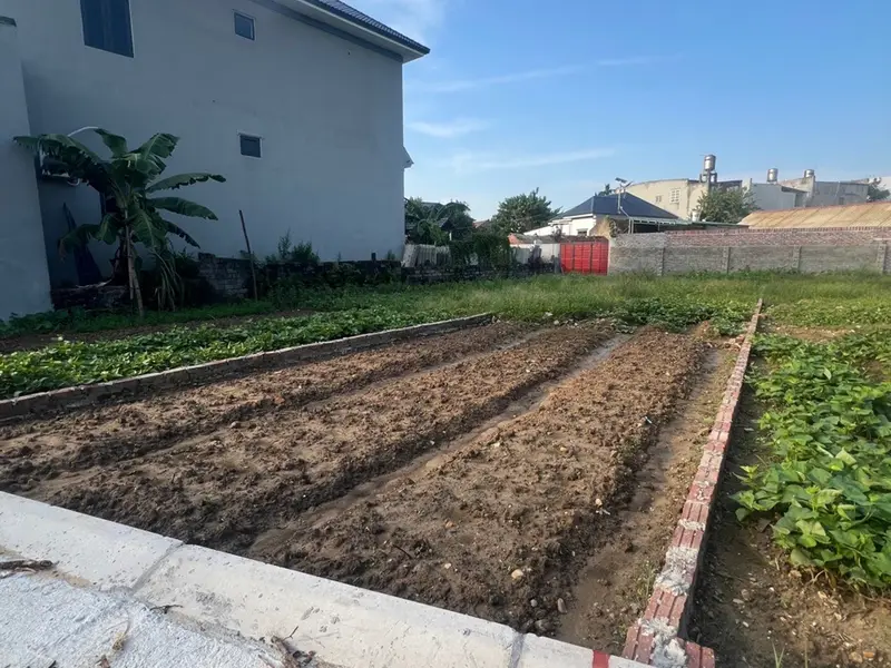 Cơ hội hiếm có sở hữu đất ô tô tại Thôn Tam Hợp, gần khu công nghiệp lớn... Bán đất tại Xuân Cẩm, Bắc Ninh 01