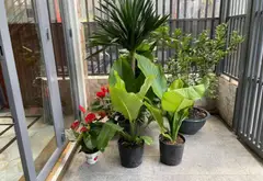 Bán nhà riêng 4 tầng Phường Thông Tây Hội, Hồ Chí Minh, diện tích 75.3m², thang máy... Bán nhà riêng tại Thông Tây Hội, Hồ Chí Minh 13