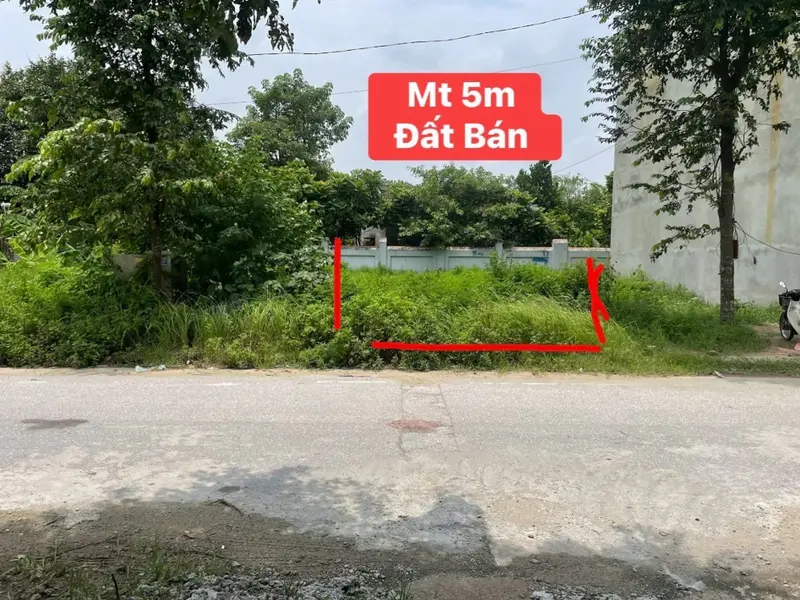 Đất phân lô sổ đỏ chính chủ giá rẻ nhất khu vực, cần tiền bán gấp... Bán đất tại Từ Sơn, Bắc Ninh 01