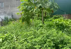 Bán nhà mặt phố xã Đồng Lập diện tích 64m2, ô tô tránh, pháp lý rõ ràng... Bán nhà mặt phố tại Kiến An, Hải Phòng 11