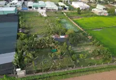 Bán nhà vườn 6000m, có 1000m thổ cư, đường xe tải Xuân Thới Sơn, Hóc Môn... Bán nhà mặt phố tại Xuân Thới Sơn, Hồ Chí Minh 02