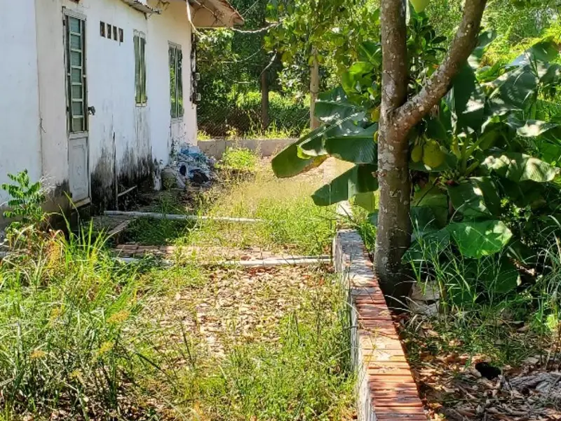Bán đất 1000m2 có nhà tại Vườn Thơm, Bình Lợi, giá 6,3 tỷ... Bán owner_side tại Bình Lợi, Hồ Chí Minh 01