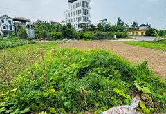 🏡 ĐẤT ĐẸP PHÂN LÔ - KINH DOANH SẦM UẤT TẠI ĐÔNG ANH 🌟... Bán đất tại Đông Anh, Hà Nội 07