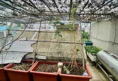 SIÊU PHẨM MẶT PHỐ KINH DOANH SẦM UẤT NGAY EOMALL TÂN PHÚ - 100M2 - 4 TẦNG -... Bán nhà mặt phố tại Bình Hưng Hòa, Hồ Chí Minh 11