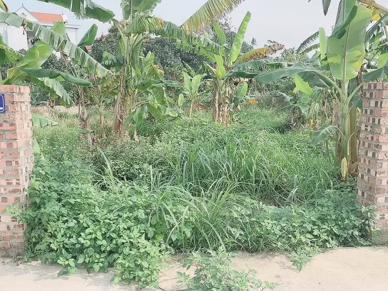 Cơ hội hiếm có sở hữu lô đất đẹp tránh ô tô tại xã Kim Anh, TP Hà Nội... Bán đất tại Kim Anh, Hà Nội 01