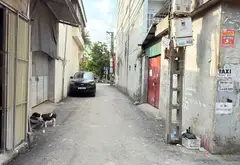 💥Cơ Hội Sở Hữu Đất Vị Trí Đẹp Tại Sóc Tá - Từ Sơn, Giá Tốt Hiếm Có... Bán đất tại Từ Sơn, Bắc Ninh 03