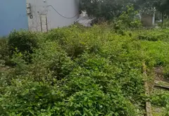 Bán đất phân lô 30m² mặt tiền 3m khu đô thị mới Liên Ninh, ô tô tránh thoáng mát... Bán đất tại Ngọc Hồi, Hà Nội 02
