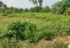 Đất Vuông Đẹp Nở Hậu Mặt Tiền Rộng Ô Tô Qua Tại An Lão Hải Phòng... Bán đất tại An Lão, Hải Phòng 03