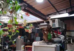Bán nhà riêng trung tâm Ba Đình diện tích lớn 293m², pháp lý chuẩn... Bán nhà riêng tại Ngọc Hà, Hà Nội 03