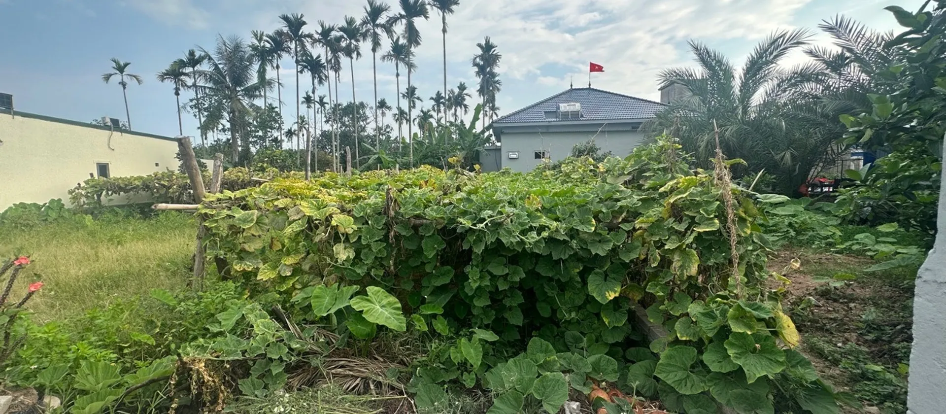 Đất phân lô vị trí đắc địa tại làng thổ cư Đại Trang, An Lão, Hải Phòng... Bán đất tại An Trường, Hải Phòng 01