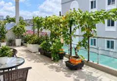 Nhà bán đường Vườn Lài, Phường An Phú Đông,Q12, Dt 100m²,ngang 5,5m, 8,6tỷ... Bán nhà riêng tại An Phú Đông, Hồ Chí Minh 15