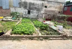 41m Khu Phố Mai Động Đàm Viết Kính 41 Đất 4 10 1.68 tỷ... Bán đất tại Phù Khê, Bắc Ninh 01