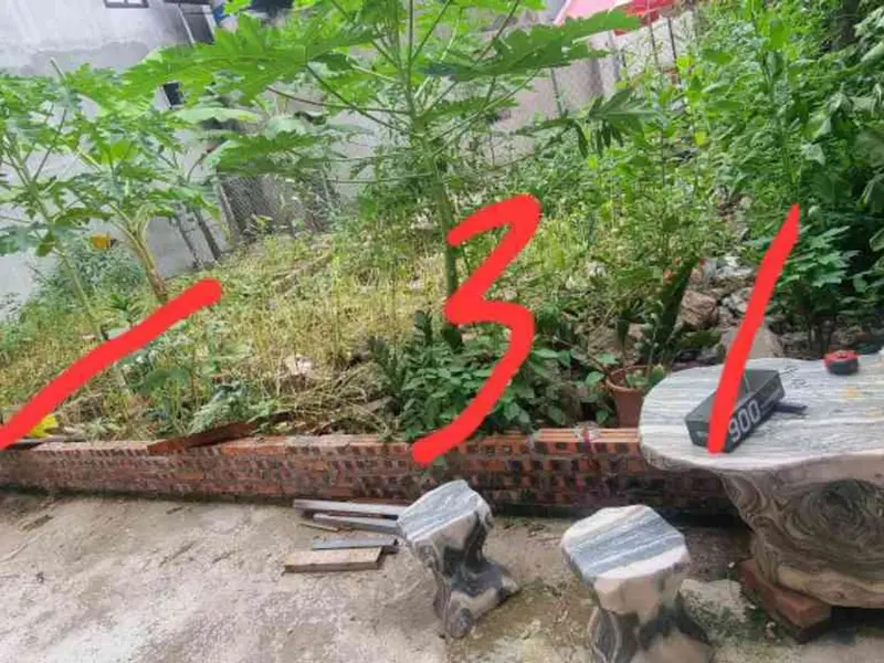Lô đất hiếm trung tâm Đình Bảng, Từ Sơn... Bán đất tại Từ Sơn, Bắc Ninh 01