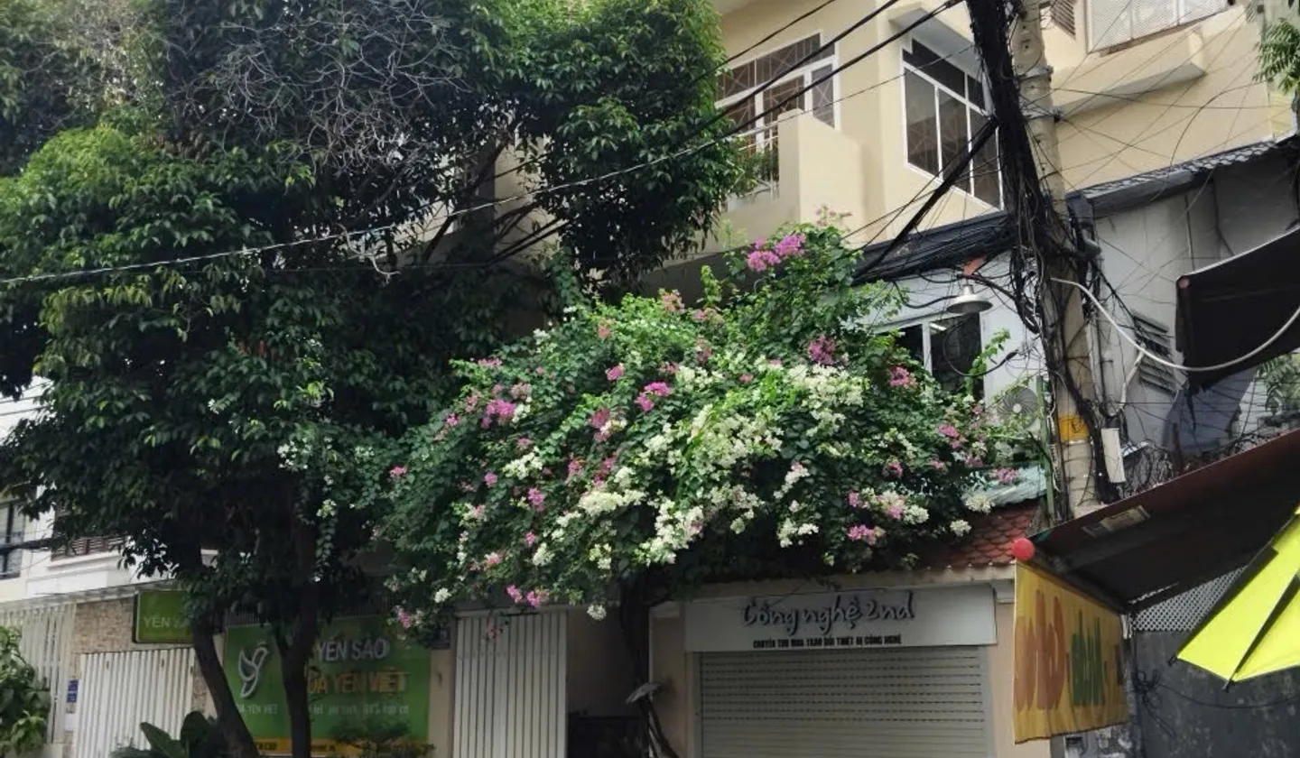 Nhà mặt phố K300 diện tích rộng, giá tốt tại Sài Gòn... Bán nhà mặt phố tại Bảy Hiền, Hồ Chí Minh 01