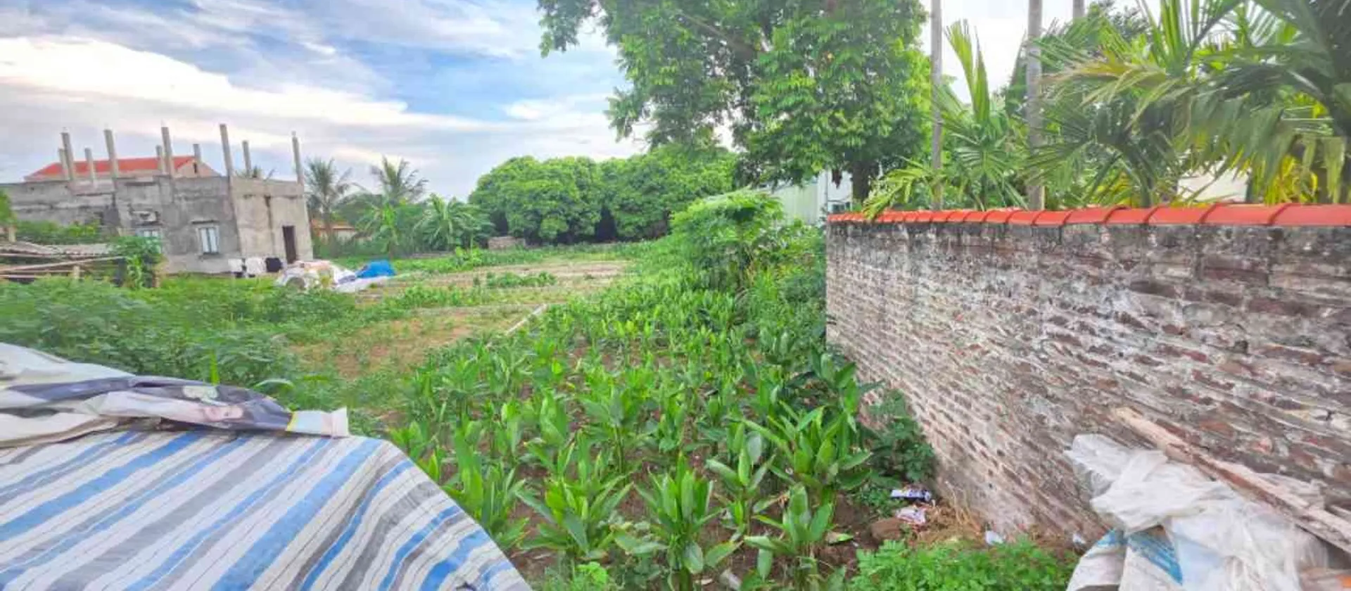Đất Trung Tâm Hưng Yên - Cơ Hội Đáng Sở Hữu Nhất Bây Giờ!... Bán đất tại Sơn Nam, Hưng Yên 01