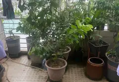 Bán nhà 3 tầng 4 phòng ngủ tại phường Tân Mỹ, Hồ Chí Minh. Huỳnh Tấn Phát... Bán nhà riêng tại Tân Mỹ, Hồ Chí Minh 03