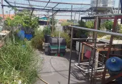 Nhà mặt phố lô góc tại phường Tân Tạo, cơ hội hiếm có để đầu tư sinh lời... Bán nhà mặt phố tại Tân Tạo, Hồ Chí Minh 14