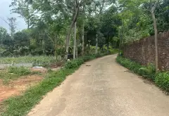 Đất rộng mặt tiền lớn, ô tô thông, view suối xanh mát... Bán đất tại Trung Giã, Hà Nội 06