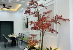 Bán nhà riêng 4 tầng phường An Dương Hải Phòng, 54.7m², 3.8 tỷ... Bán nhà riêng tại An Dương, Hải Phòng 05